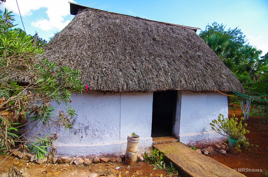 Traditional palapa roof adobe house